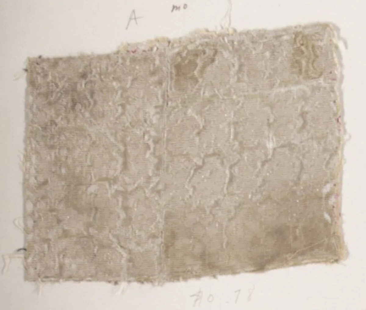 Fragment — Unknown