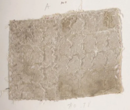 Fragment