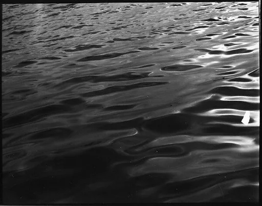 [Water, From Dayboat in Everglades, Florida]