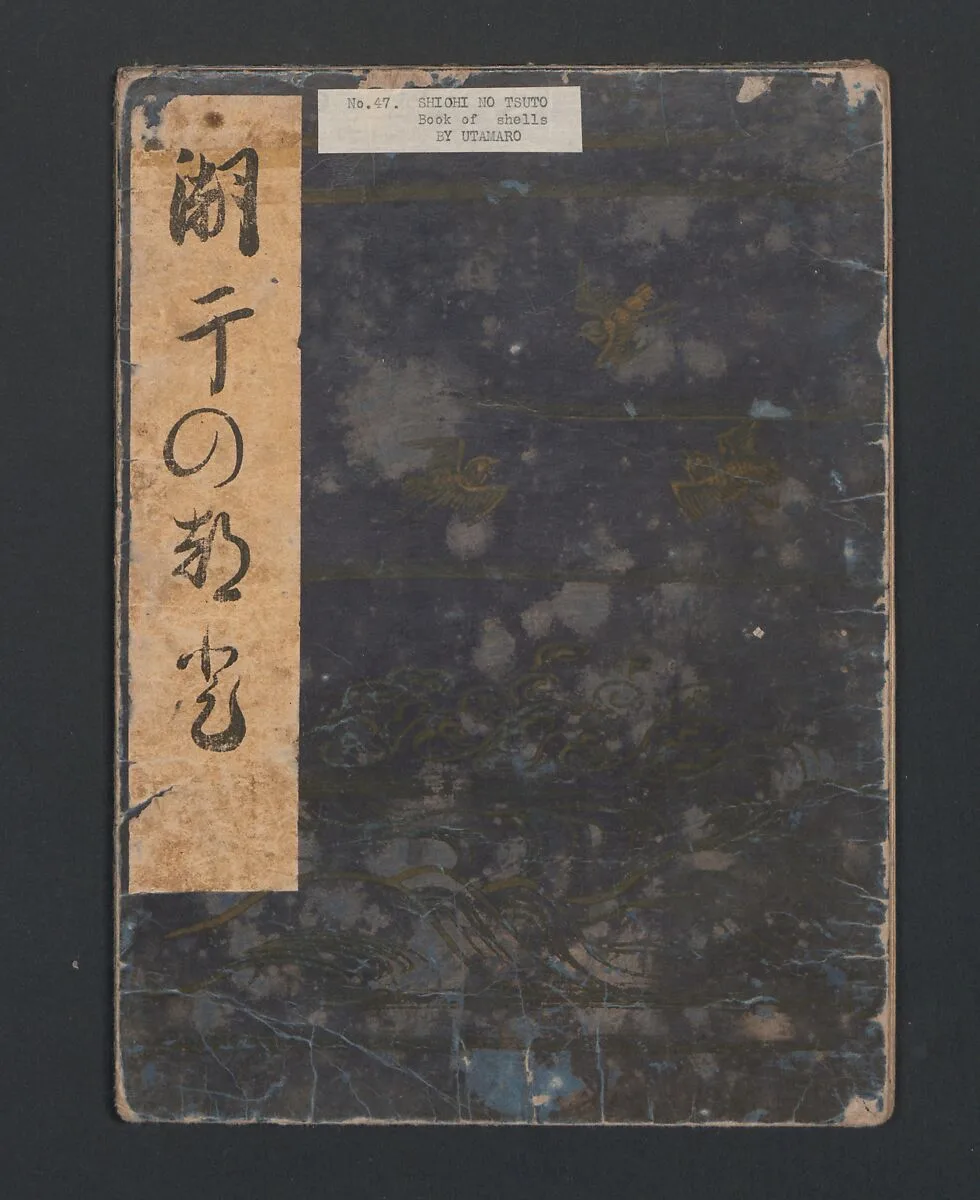 潮干のつと|Gifts from the Ebb Tide (The Shell Book) (Shiohi no tsuto) — Kitagawa Utamaro