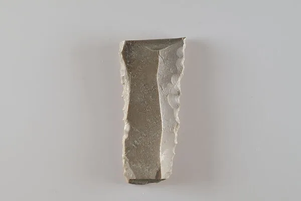 Fragment of a denticulated tool (?) — Unknown