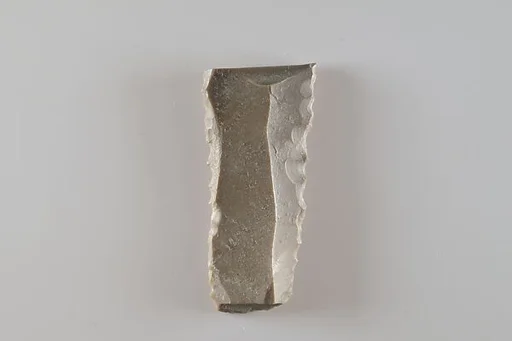 Fragment of a denticulated tool (?)