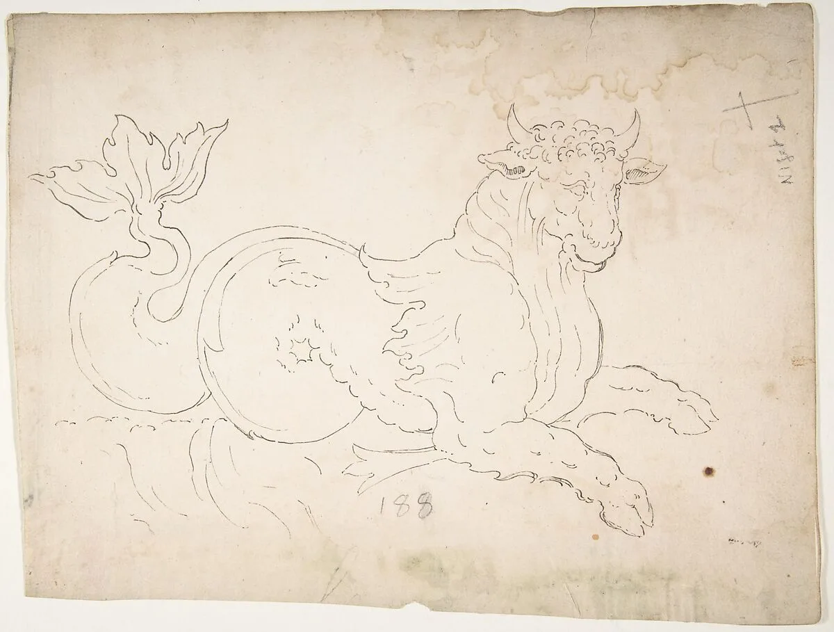 Marine bull, detail (recto) blank (verso) — Anonymous, French, 16th century