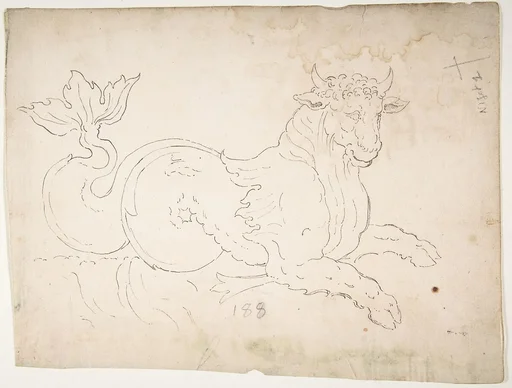 Marine bull, detail (recto) blank (verso)