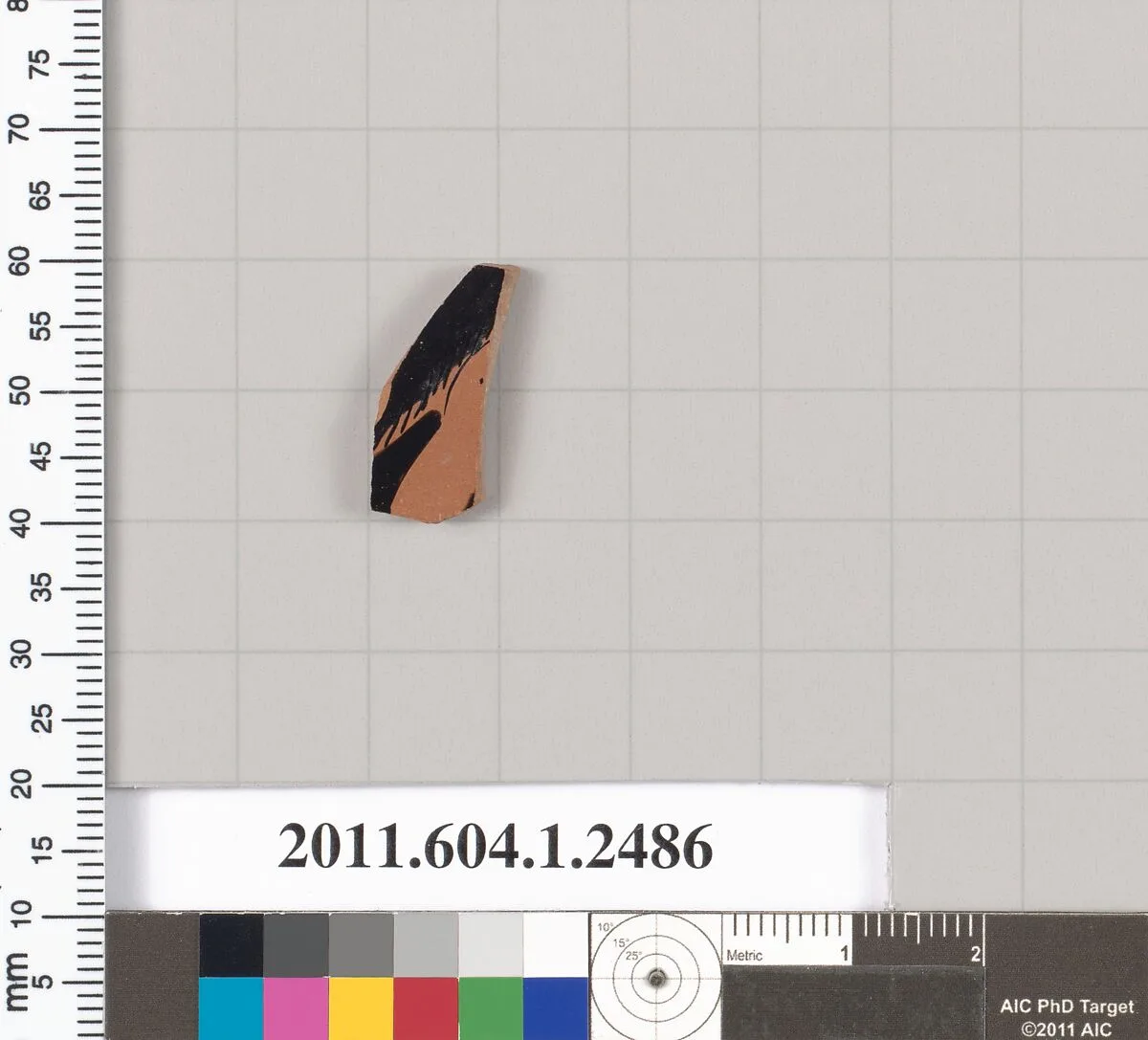 Terracotta fragment of a kylix (drinking cup) — Unknown