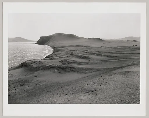 Chucho, Independence Bay, Paracas Peninsula, Peru