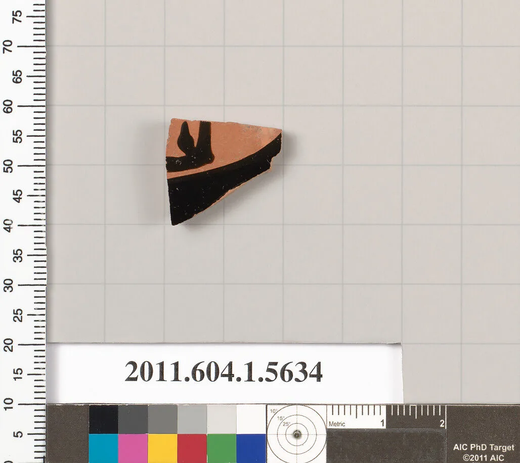 Terracotta fragment of a kylix (drinking cup) — Unknown