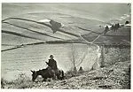 [Landscape, Man on Donkey]