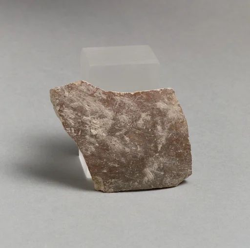 Vase fragment
