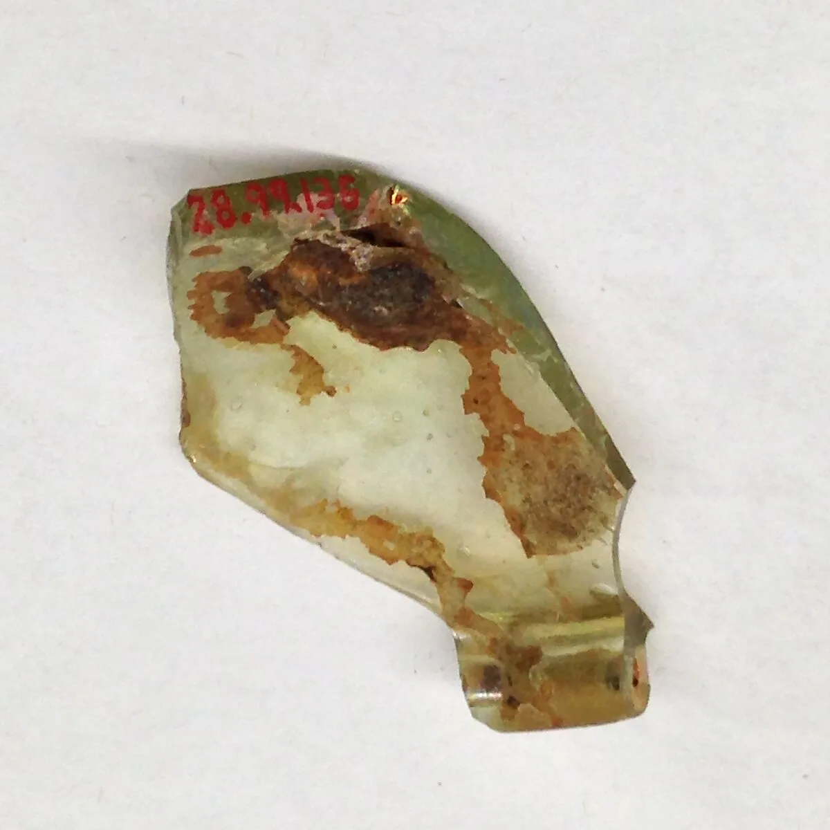Fragment — Unknown