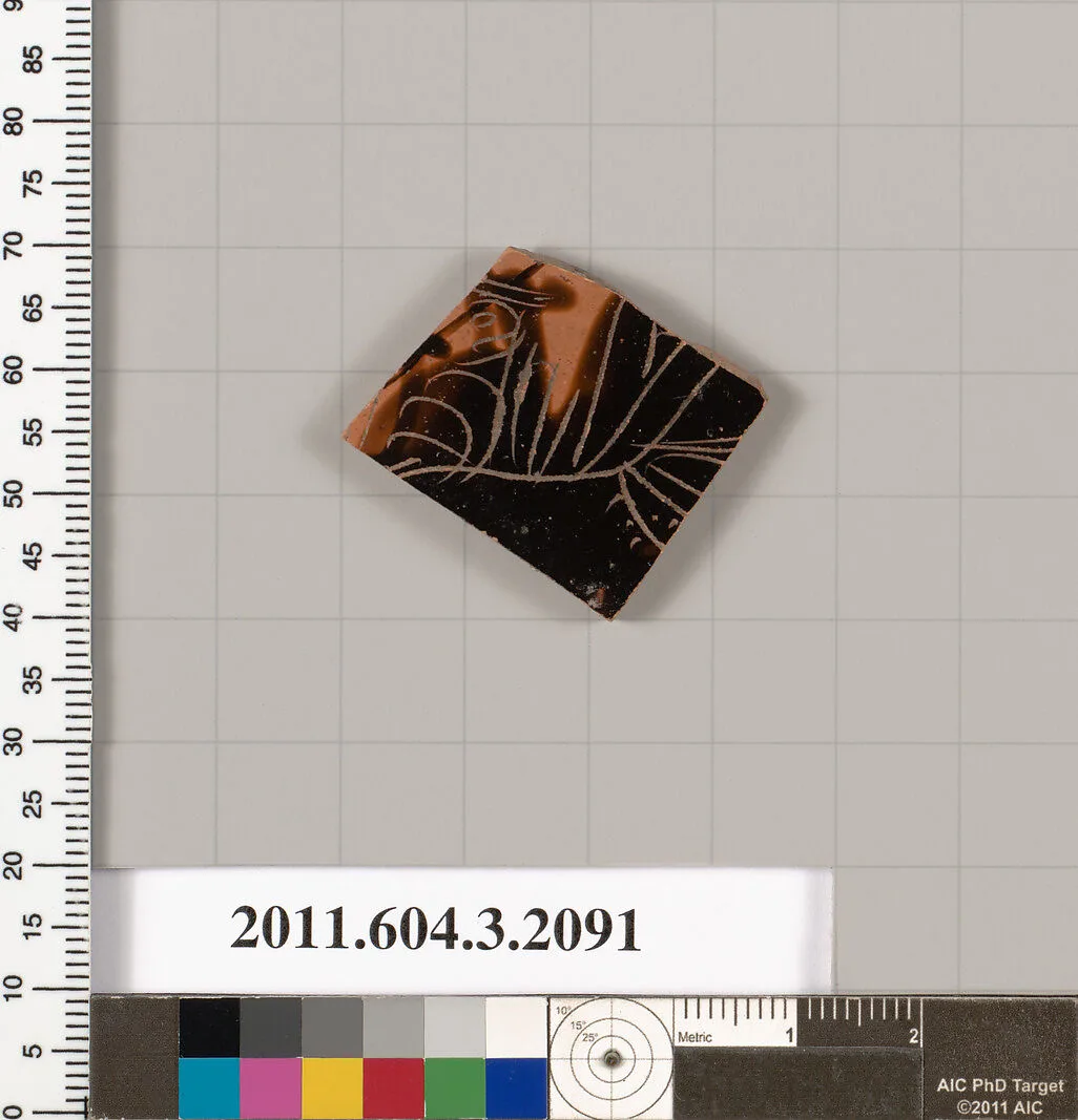 Terracotta fragment of a kylix (drinking cup) — Unknown