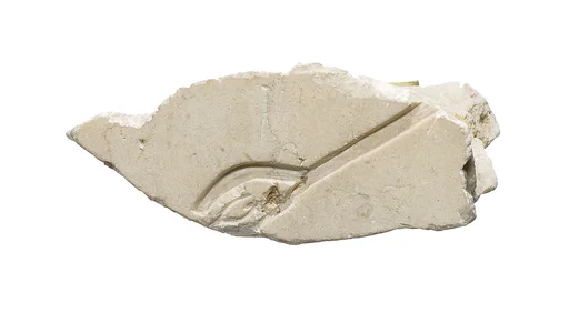 Pictorial relief, Aten hand