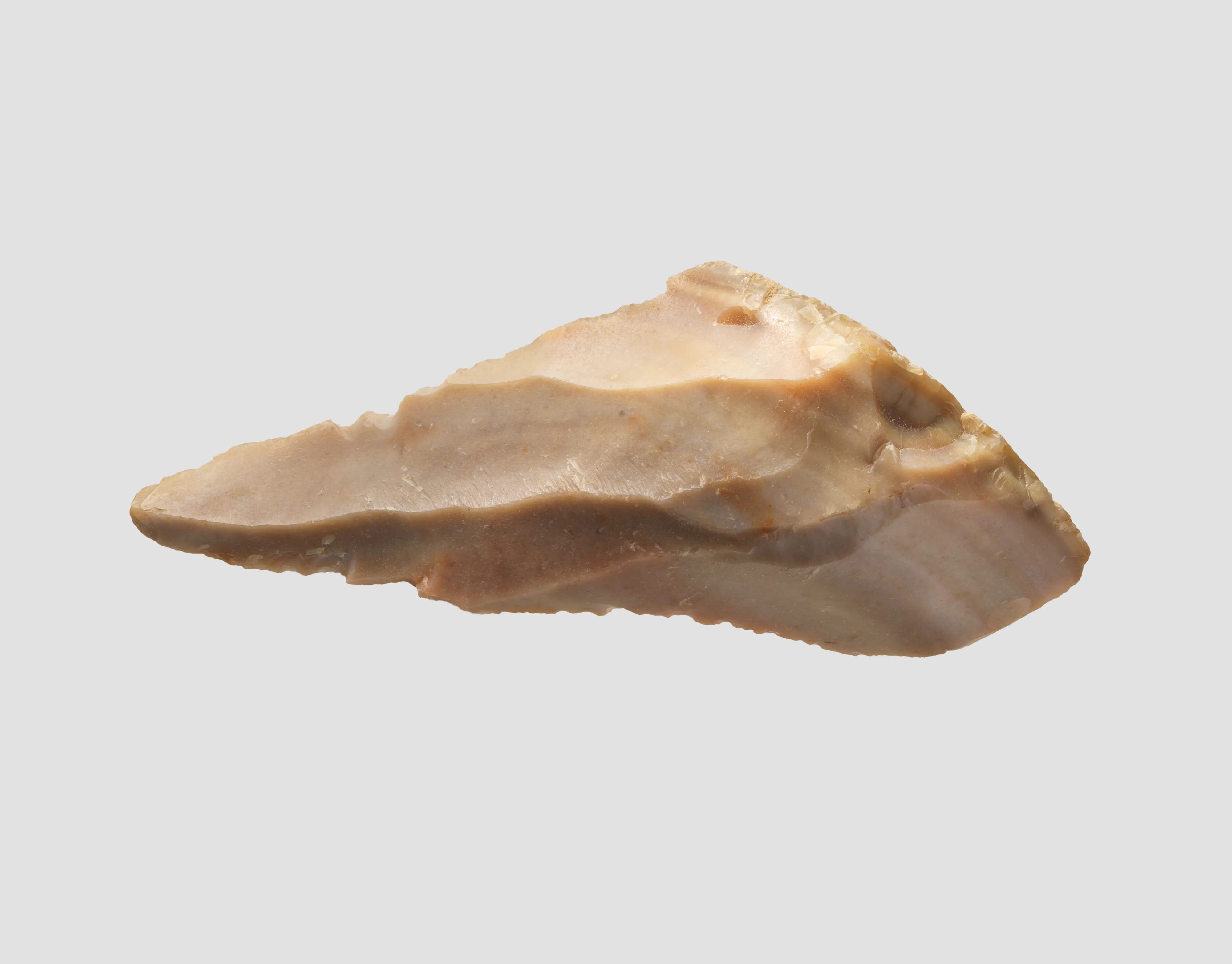 Borer — Unknown