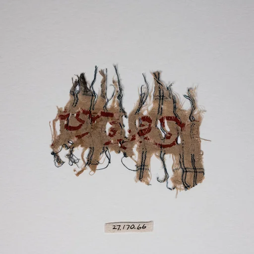 Textile Fragment