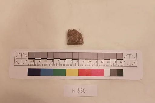 Stucco Fragment
