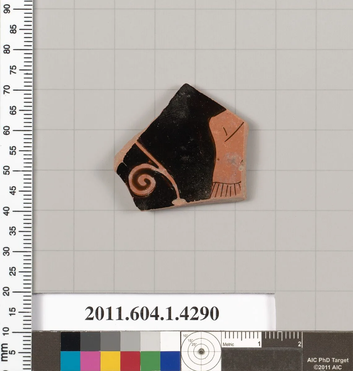 Terracotta fragment of a kylix (drinking cup) — Unknown