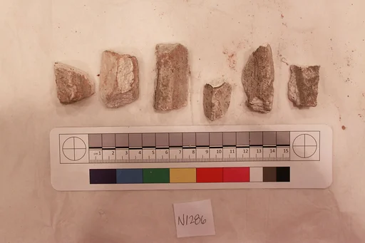 Stucco Fragment