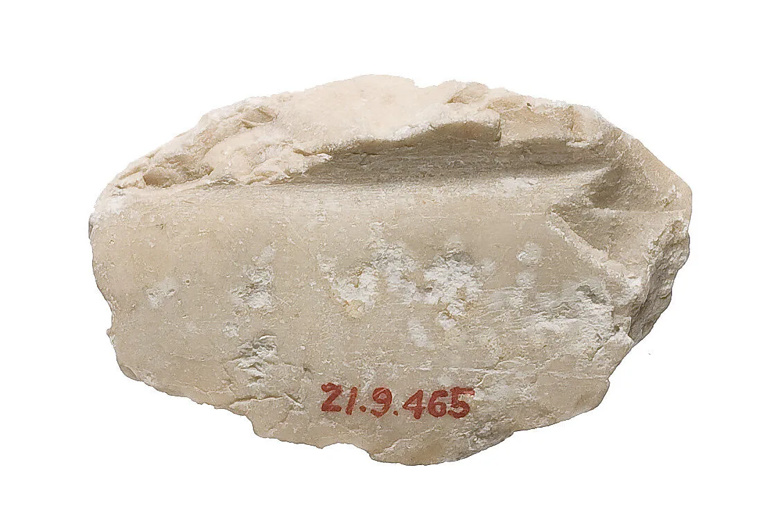 Arm (?) — Unknown