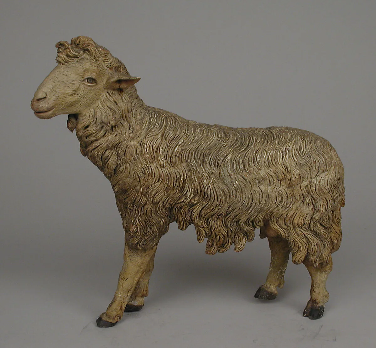 Standing sheep — Unknown