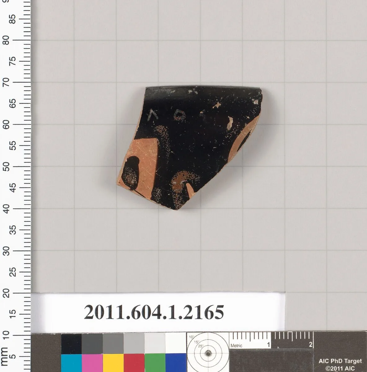 Terracotta rim fragment of a kylix (drinking cup) — Unknown