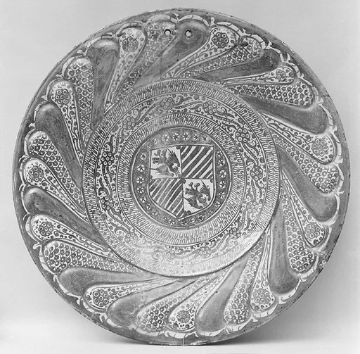 Dish