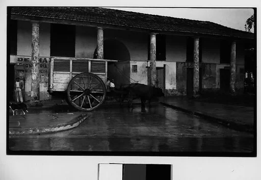 [Oxen-Drawn Cart, Havana]