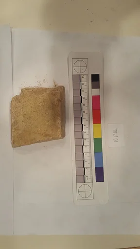 Stucco Fragment