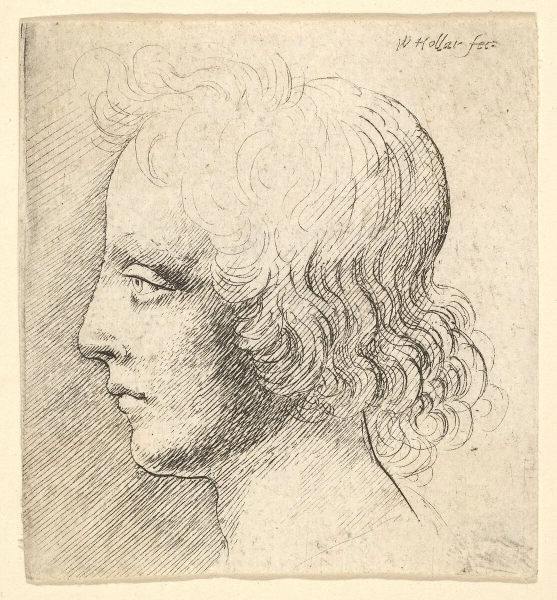 Head of Young Man — Wenceslaus Hollar