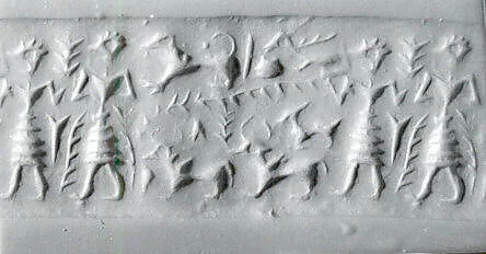 Cylinder seal — Unknown