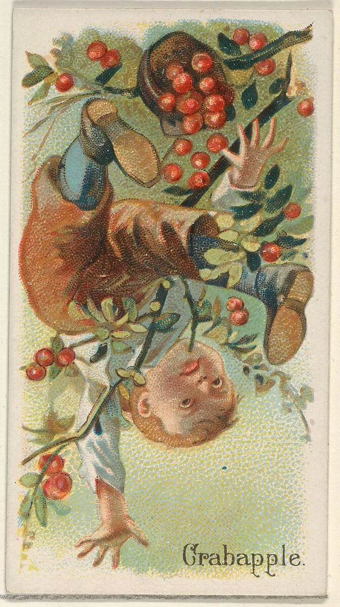 Crabapple, from the Fruits series (N12) for Allen & Ginter Cigarettes Brands — Allen & Ginter|George S. Harris & Sons