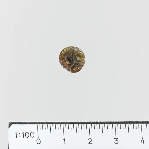 Seal
