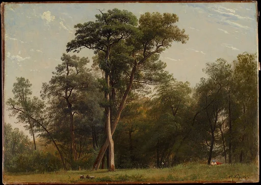 Clearing at the Edge of a Wood