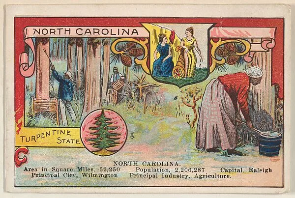 North Carolina, postcard from the Cards of States series (D22), issued by the Cushman Bread Company — Cushman Bread Company