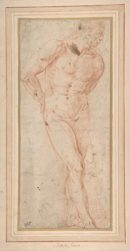 Standing Male Nude with Hands behind Back