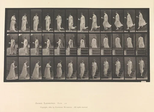 Animal Locomotion. An Electro-Photographic Investigation... of Animal Movements. Commenced 1872 - Completed 1885. Volume VI, Woman (Semi-Nude and Transparent Drapery) Children