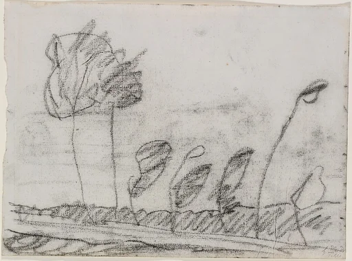 Seven Trees