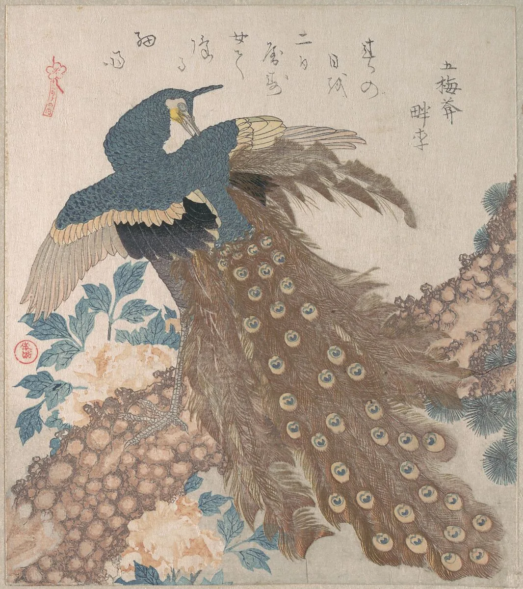 「三ひらの内」松・牡丹に孔雀|Peacock on Pine Tree and Peonies, from the series Three Sheets (Mihira no uchi) — Totoya Hokkei