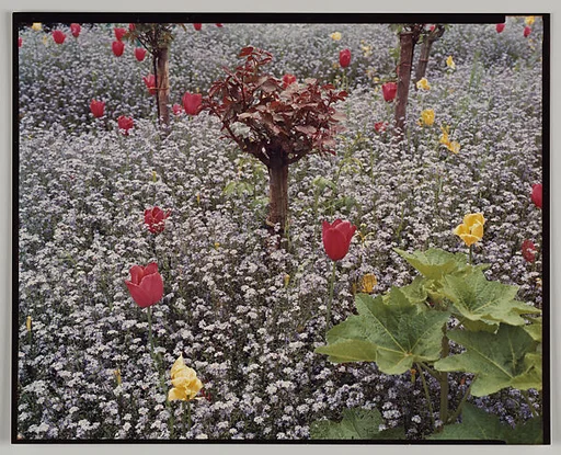 Giverny