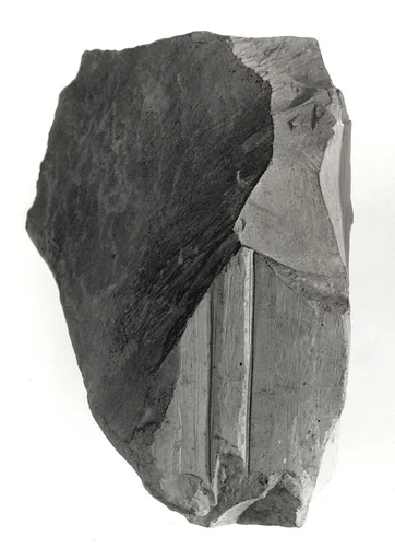 Raised relief fragment