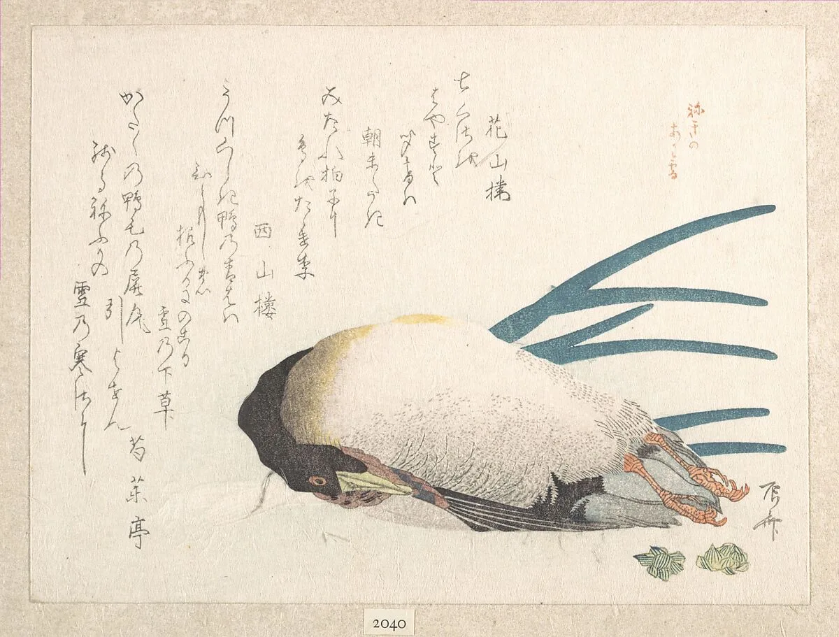 摺物帖 『春雨集』 鴨と葱|Spring Rain Collection (Harusame shū), vol. 1: Duck and Scallions — Ryūryūkyo Shinsai