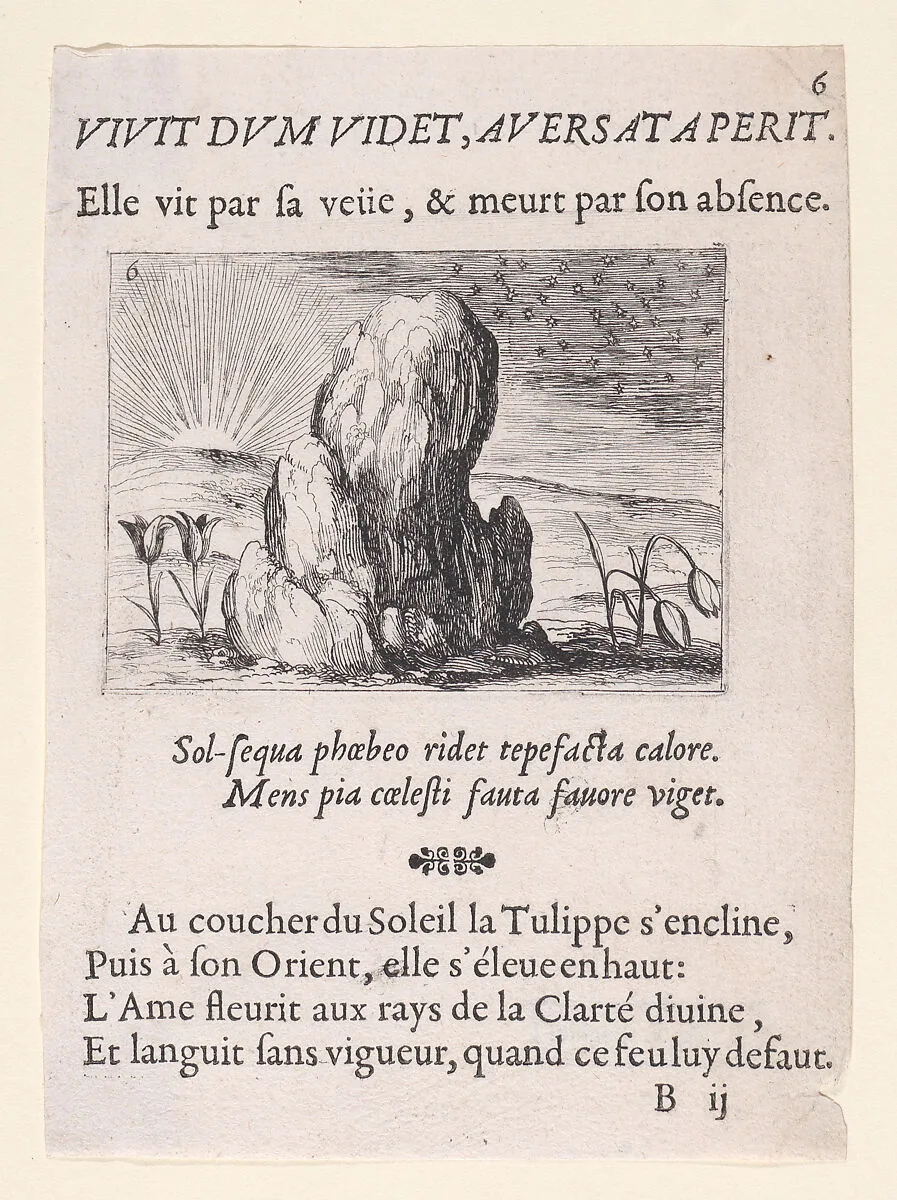 Les Tulipes et le Soleil (The Tulips and the Sun), from Lux Claustri ou La Lumière du Cloitre (The Light of the Cloisters), plate 6 — Jacques Callot|François Langlois