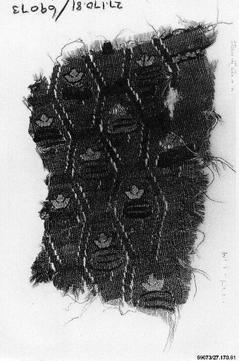 Textile Fragment