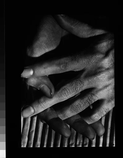 [Study of Hands, Possibly Sam Loveman]