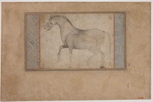 Portrait of a Stallion