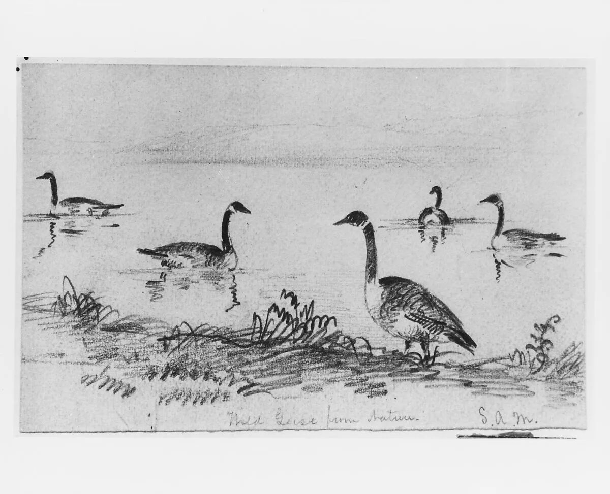 Wild Geese (from McGuire Scrapbook) — Shepard Alonzo Mount