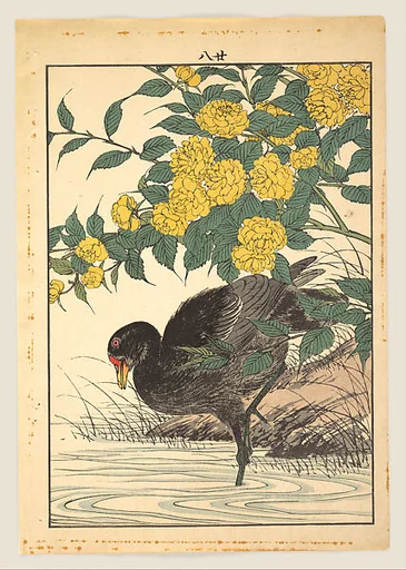 Keinen kachō gafu 景年花鳥畫譜|Cormorant and Kerria Rose (Yamabuki), from Keinen kachō gafu (Keinen’s Flower-and-Bird Painting Manual)