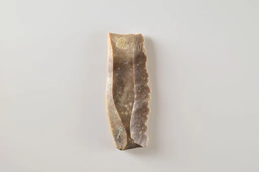 Sickle Insert