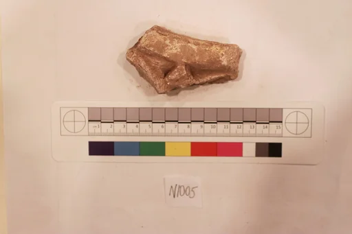 Stucco Fragment