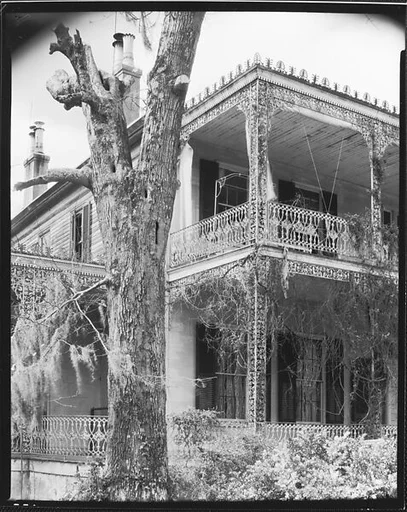 [Elmcourt Ante-bellum House Porches (with Tree in Foreground), Natchez, Mississippi]
