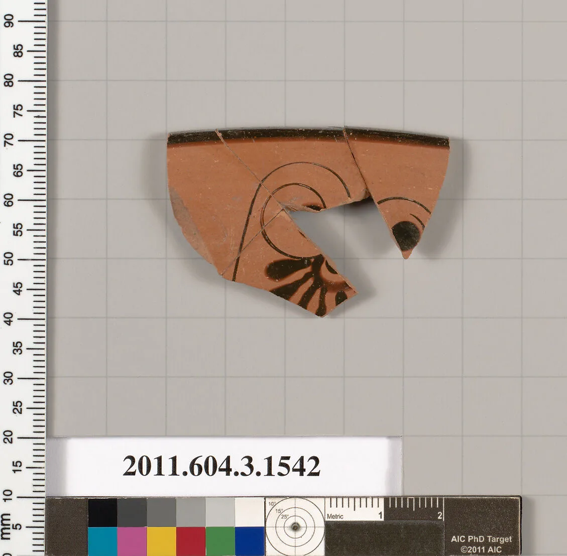 Terracotta rim fragment of a kylix (drinking cup) — Unknown